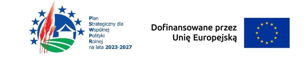 zdjęcien na ogłoszenie